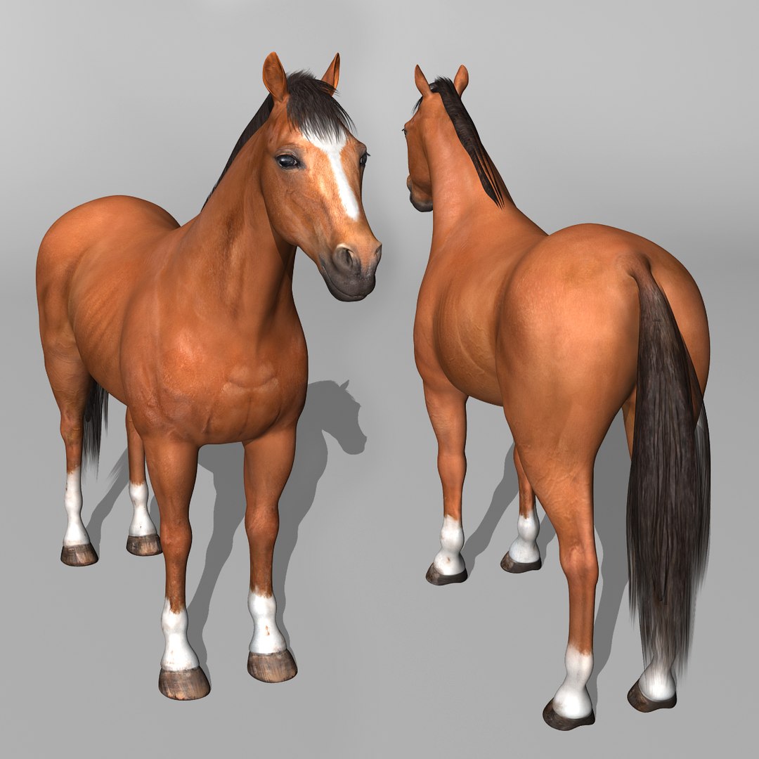 lwo rigged 4 horse 1 https://p.turbosquid.com/ts-thumb/fV/zbZXUK/GrA3JOxJ/brown_horse_e2/jpg/1338692890/1920x1080/fit_q87/a18ad8e02e1e9c7a0e6a05eb31a36c0eba9cef48/brown_horse_e2.jpg