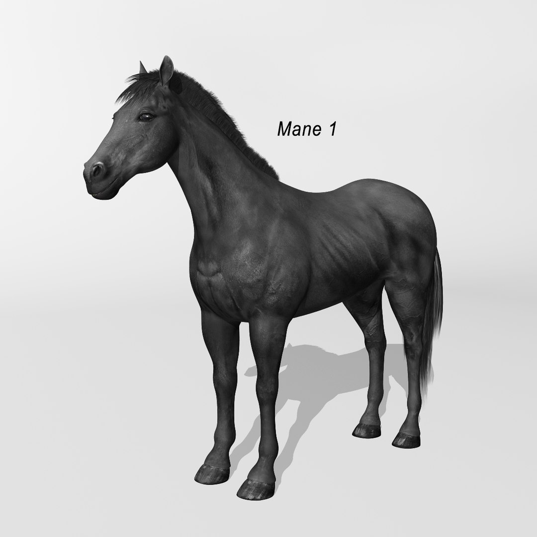 lwo rigged 4 horse 1 https://p.turbosquid.com/ts-thumb/fV/zbZXUK/IrioZ0kK/black_horse_b1/jpg/1422352221/1920x1080/fit_q87/e82e57a4914f888b45dcb3da73ea7b7b56a409f9/black_horse_b1.jpg