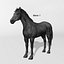 Horse  4 in 1 Bundle