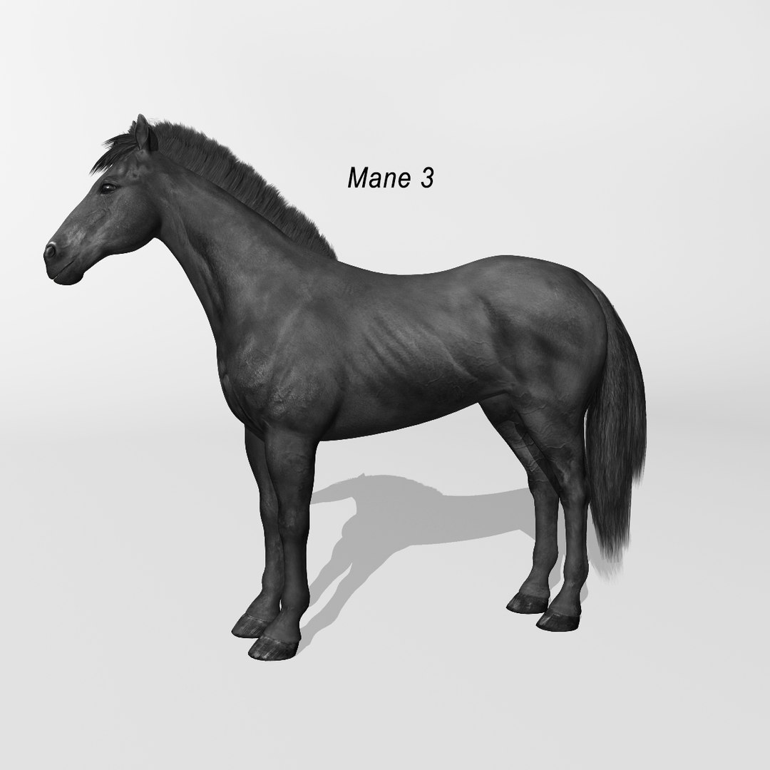 lwo rigged 4 horse 1 https://p.turbosquid.com/ts-thumb/fV/zbZXUK/JAHG01Lc/black_horse_a3/jpg/1422352221/1920x1080/fit_q87/0e4d5c66f2e41bf9a8bf33b5d537b50cd1a2107c/black_horse_a3.jpg