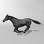Horse  4 in 1 Bundle