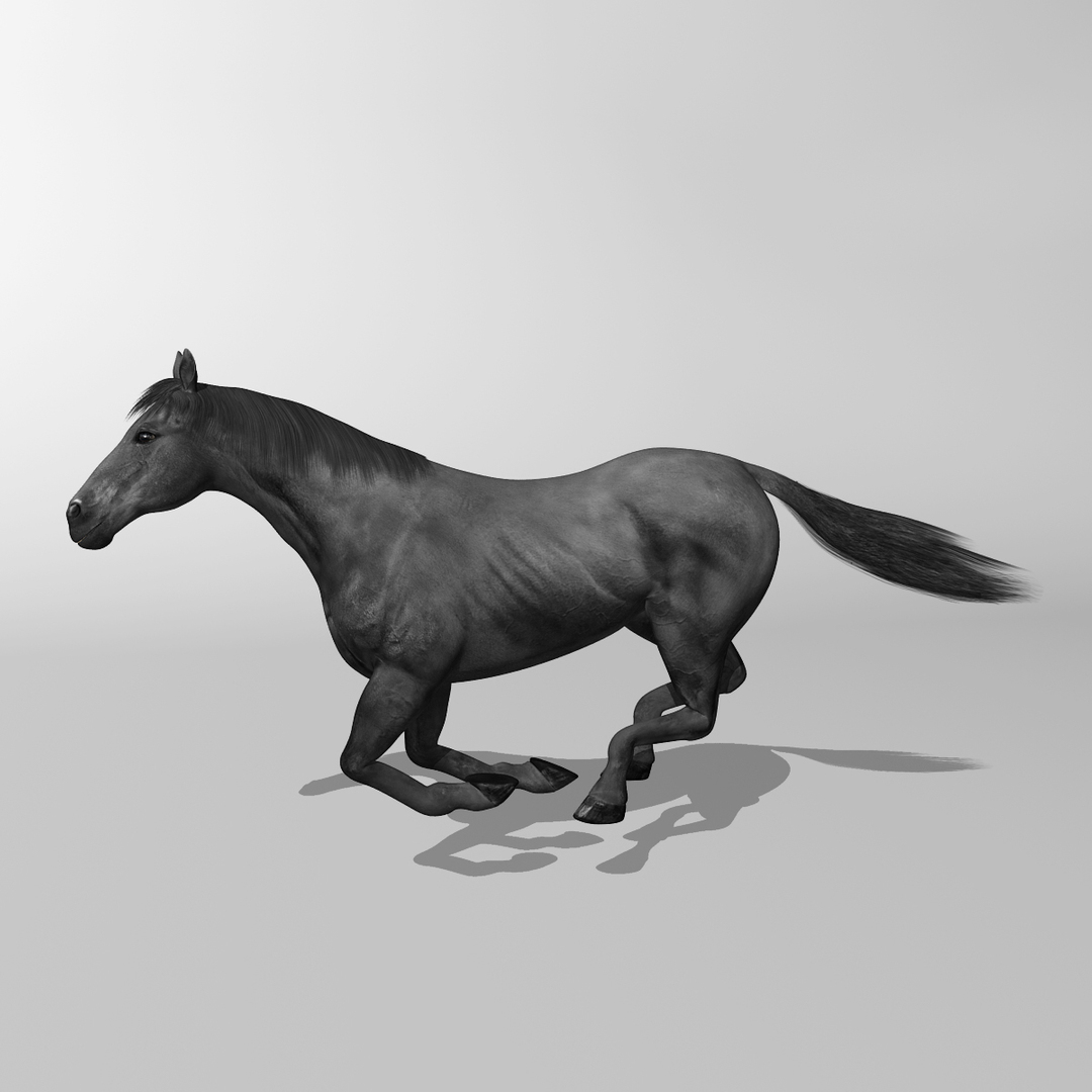 lwo rigged 4 horse 1 https://p.turbosquid.com/ts-thumb/fV/zbZXUK/LDeprf4w/blackhorse_gallop_0.jpgecfc85f8e94d4759ae6812fcba636d46zoom/jpg/1422264687/1920x1080/turn_fit_q99/3e82000ba4f0ca74af850a5dc02dbd0ee9b4a7ef/blackhorse_gallop_0.jpgecfc85f8e94d4759ae6812fcba636d46zoom-1.jpg