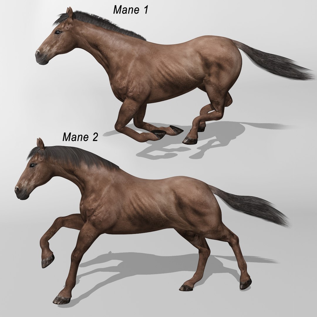 lwo rigged 4 horse 1 https://p.turbosquid.com/ts-thumb/fV/zbZXUK/O9U6G3fB/darkbrown_horse_d/jpg/1423290345/1920x1080/fit_q87/753d0b4e952061145ce5221e005ede196bea824c/darkbrown_horse_d.jpg
