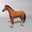 Horse  4 in 1 Bundle