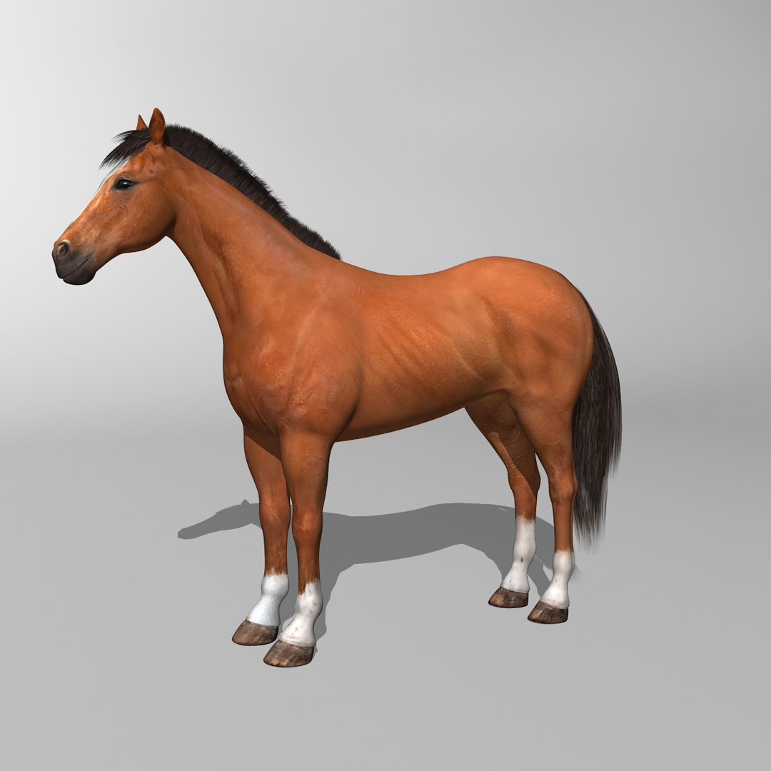 lwo rigged 4 horse 1 https://p.turbosquid.com/ts-thumb/fV/zbZXUK/PQfTCq9Q/horse_brown_rotate/jpg/1338695429/1920x1080/turn_fit_q99/e7c238e5a05ff1be6223f4c67a7fbcb0bcfc8a42/horse_brown_rotate-1.jpg