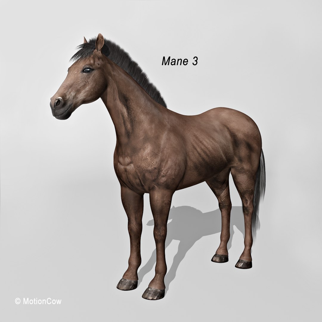 lwo rigged 4 horse 1 https://p.turbosquid.com/ts-thumb/fV/zbZXUK/Tb2gRS7g/darkbrown_horse_b5/jpg/1423209154/1920x1080/fit_q87/f95aaeb34d515e027f2209a7048bbab9e6bc38fa/darkbrown_horse_b5.jpg