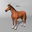 Horse  4 in 1 Bundle