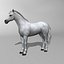 Horse  4 in 1 Bundle