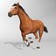 Horse  4 in 1 Bundle