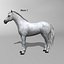 Horse  4 in 1 Bundle