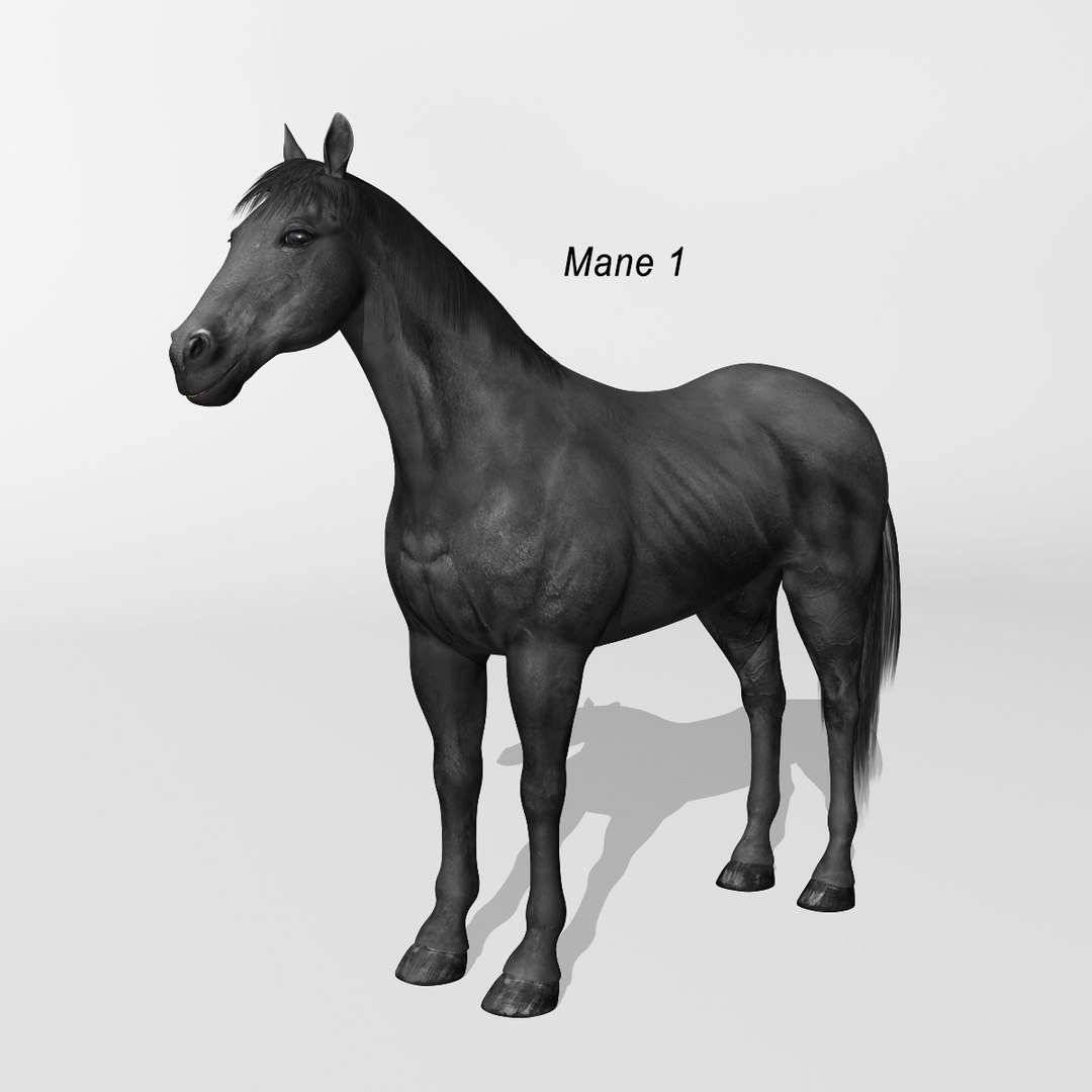 lwo rigged 4 horse 1 https://p.turbosquid.com/ts-thumb/fV/zbZXUK/jSLPQ1WU/black_horse_b2/jpg/1422352221/1920x1080/fit_q87/27b4e4d580ba581d67fc7992fa7dc8d35a4393fb/black_horse_b2.jpg