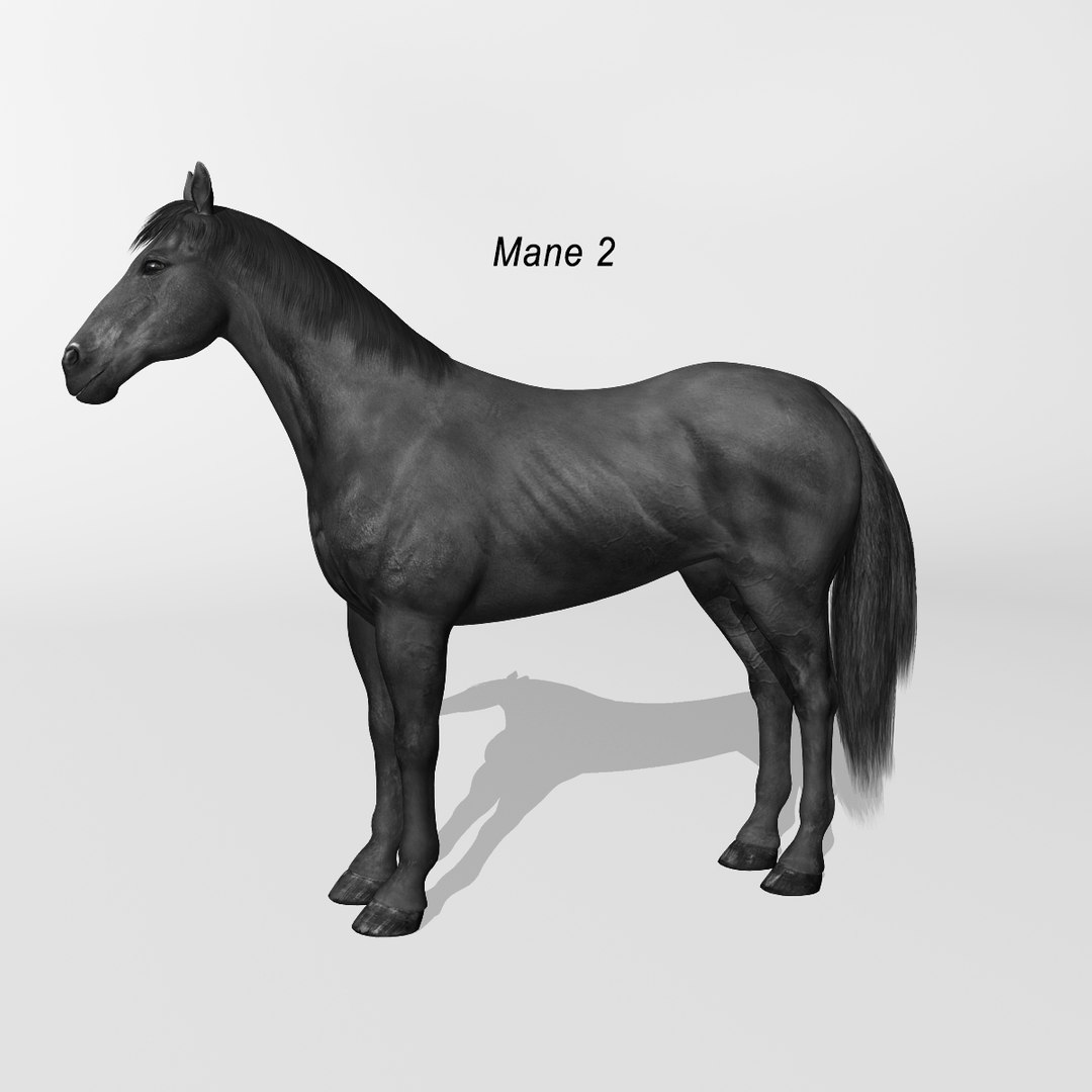 lwo rigged 4 horse 1 https://p.turbosquid.com/ts-thumb/fV/zbZXUK/kGQdK5XV/black_horse_a2/jpg/1422352221/1920x1080/fit_q87/b73385c8b6652b71fb60d3f45316f8e05ed509ab/black_horse_a2.jpg