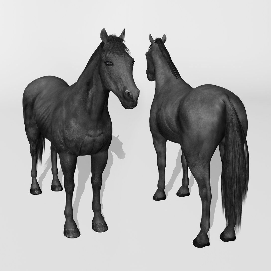 lwo rigged 4 horse 1 https://p.turbosquid.com/ts-thumb/fV/zbZXUK/nYRK2EBF/black_horse_e/jpg/1422418021/1920x1080/fit_q87/b7b8670e0a508b00a4a6ac216d3e4be897bcab35/black_horse_e.jpg