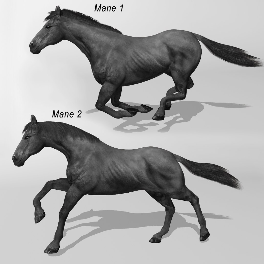 lwo rigged 4 horse 1 https://p.turbosquid.com/ts-thumb/fV/zbZXUK/sMmczyPx/black_horse_d/jpg/1423290345/1920x1080/fit_q87/cc7a4bdb20815f731065c9bcf8a215f12acf09b7/black_horse_d.jpg