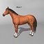 Horse  4 in 1 Bundle