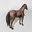Horse  4 in 1 Bundle