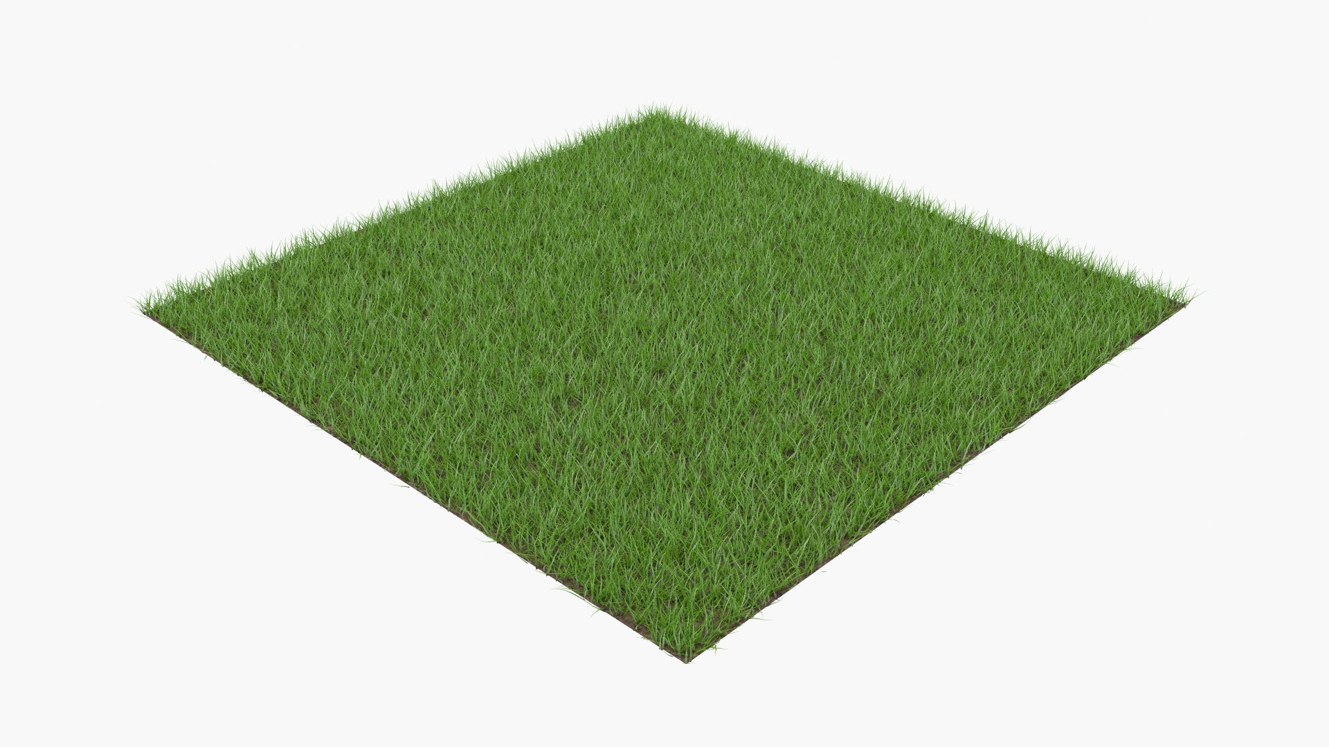 Grass Patch 3d Model Turbosquid 1491070