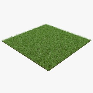 grass patch 3D model