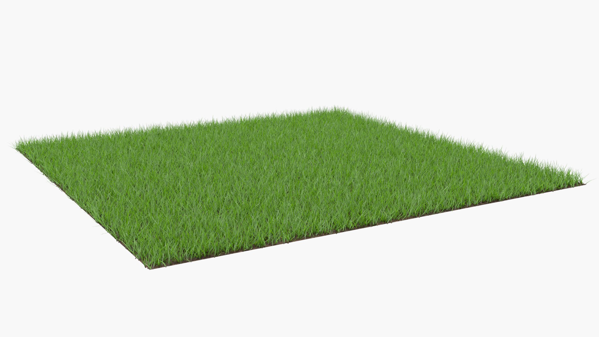 Grass patch 3D model - TurboSquid 1491070