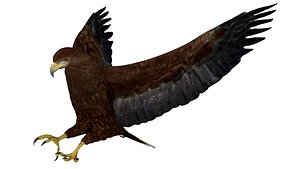 Animated Realistic Golden Eagle