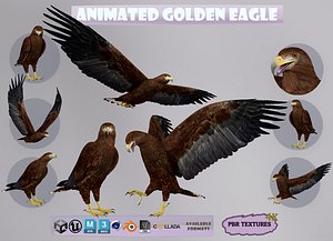 Animated Realistic Golden Eagle 3D