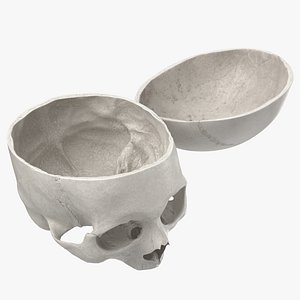 3D model human skull cranial 02