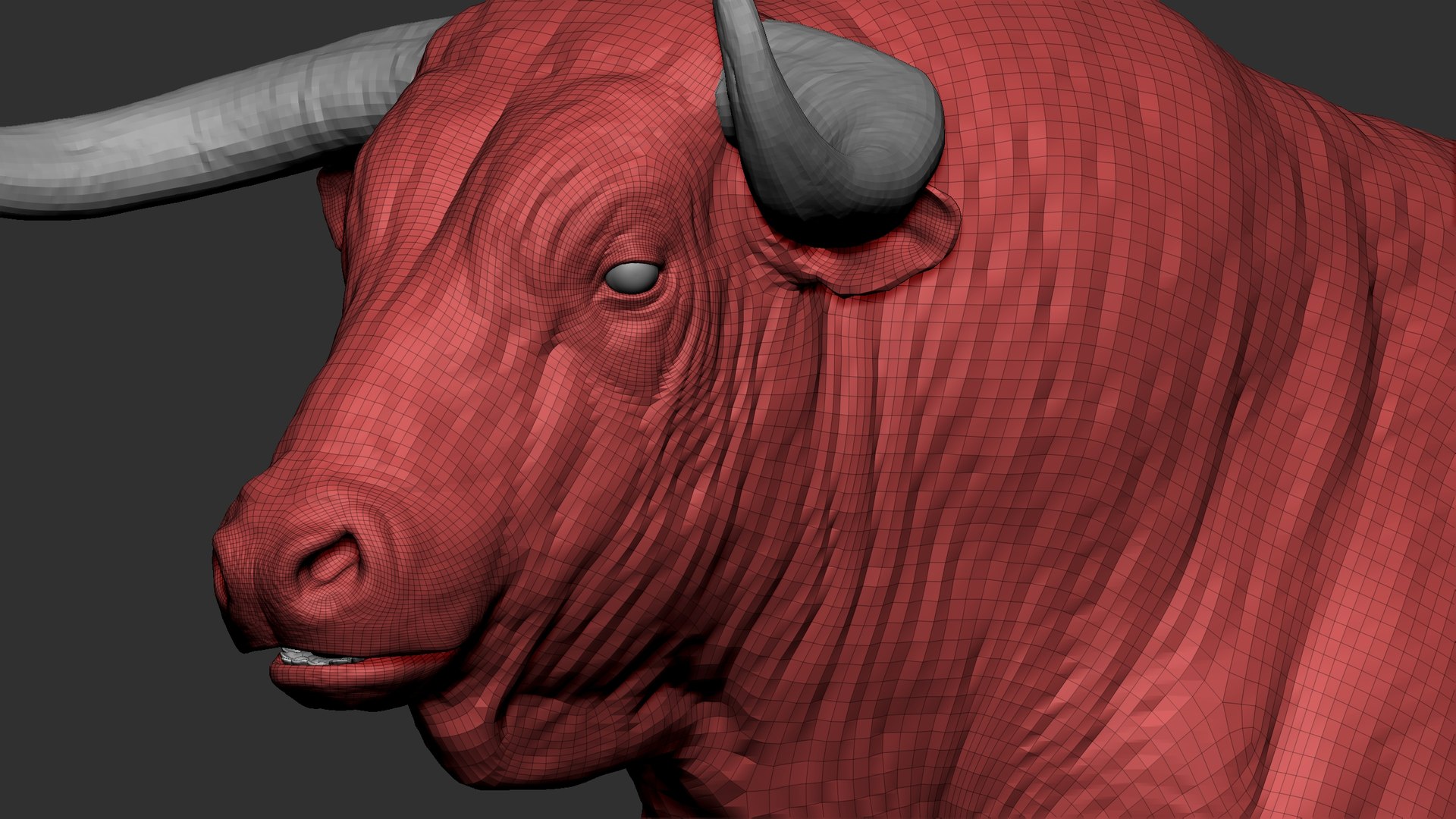 3D Model Bull - TurboSquid 2399962