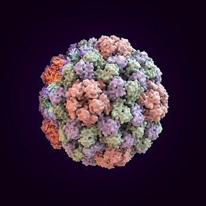 Brome Mosaic Virus Capsid (scientifically accurate 3D structure)