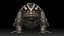 Cane Toad frog bullfrog