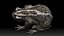 Cane Toad frog bullfrog