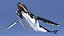 Humpback Whale Realistic