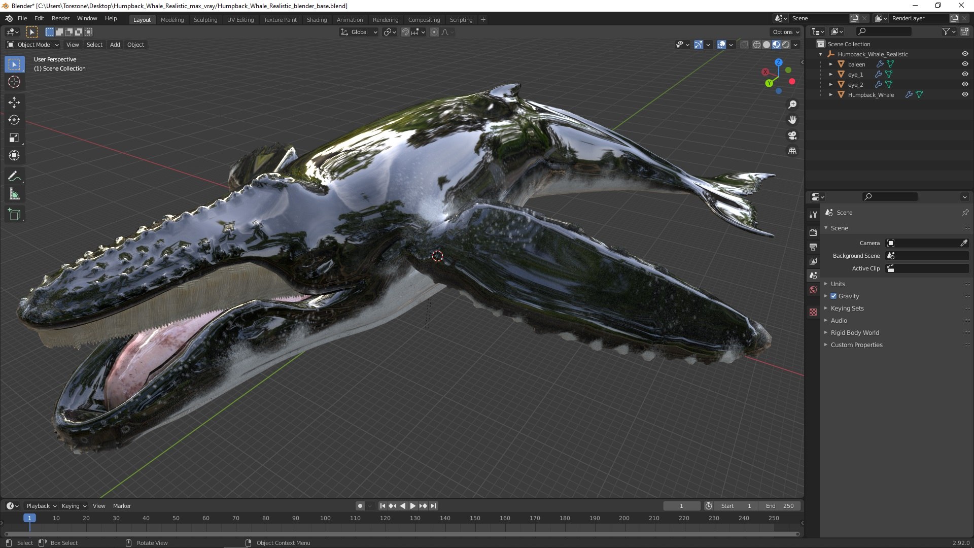 3D Humpback Whale Realistic https://p.turbosquid.com/ts-thumb/fW/iDq5Rt/Co/humpbackwhalerealistic3dmodel024/jpg/1724653957/1920x1080/fit_q87/4238e2e294566cb231214b72512fd1cad5e46be6/humpbackwhalerealistic3dmodel024.jpg
