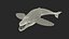 Humpback Whale Realistic