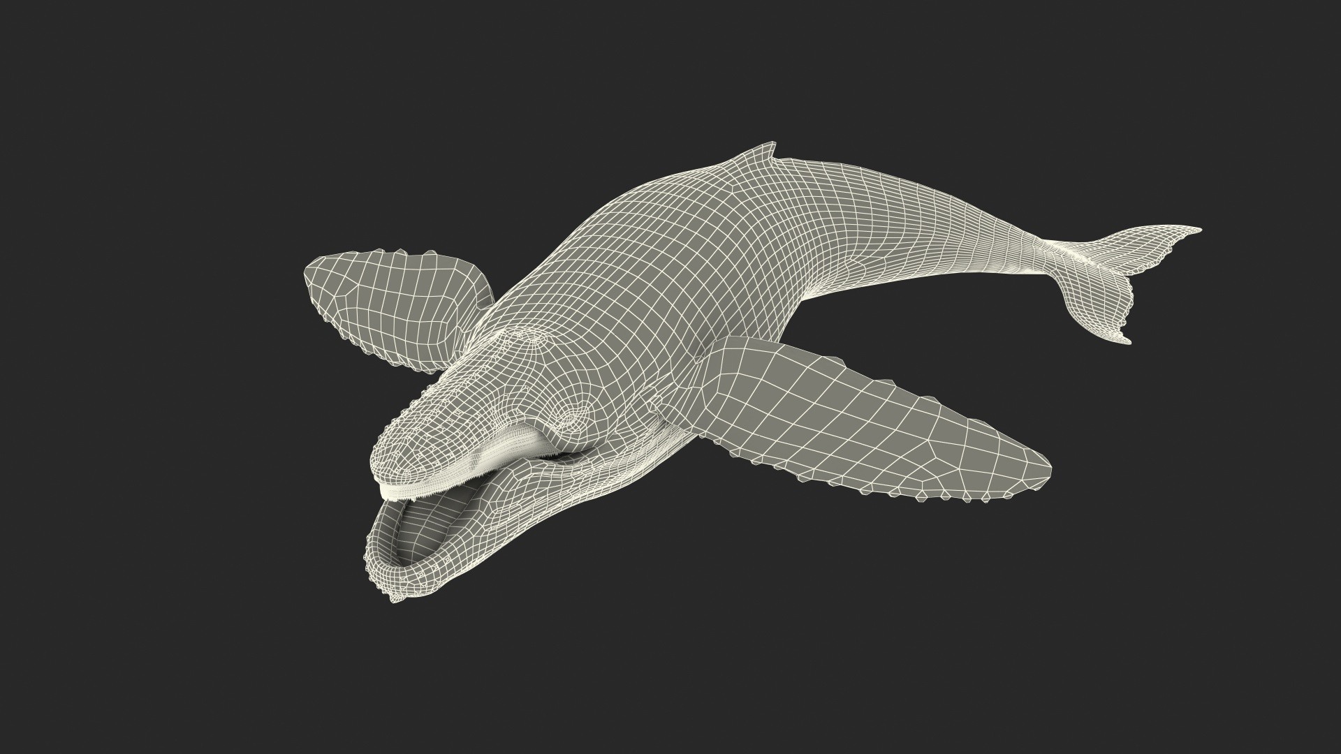 3D Humpback Whale Realistic https://p.turbosquid.com/ts-thumb/fW/iDq5Rt/DB/humpback_whale_realistic_361/jpg/1724653493/1920x1080/turn_fit_q99/ef29d05d332ec8e964d122d7ebb0dd094c770bd1/humpback_whale_realistic_361-1.jpg