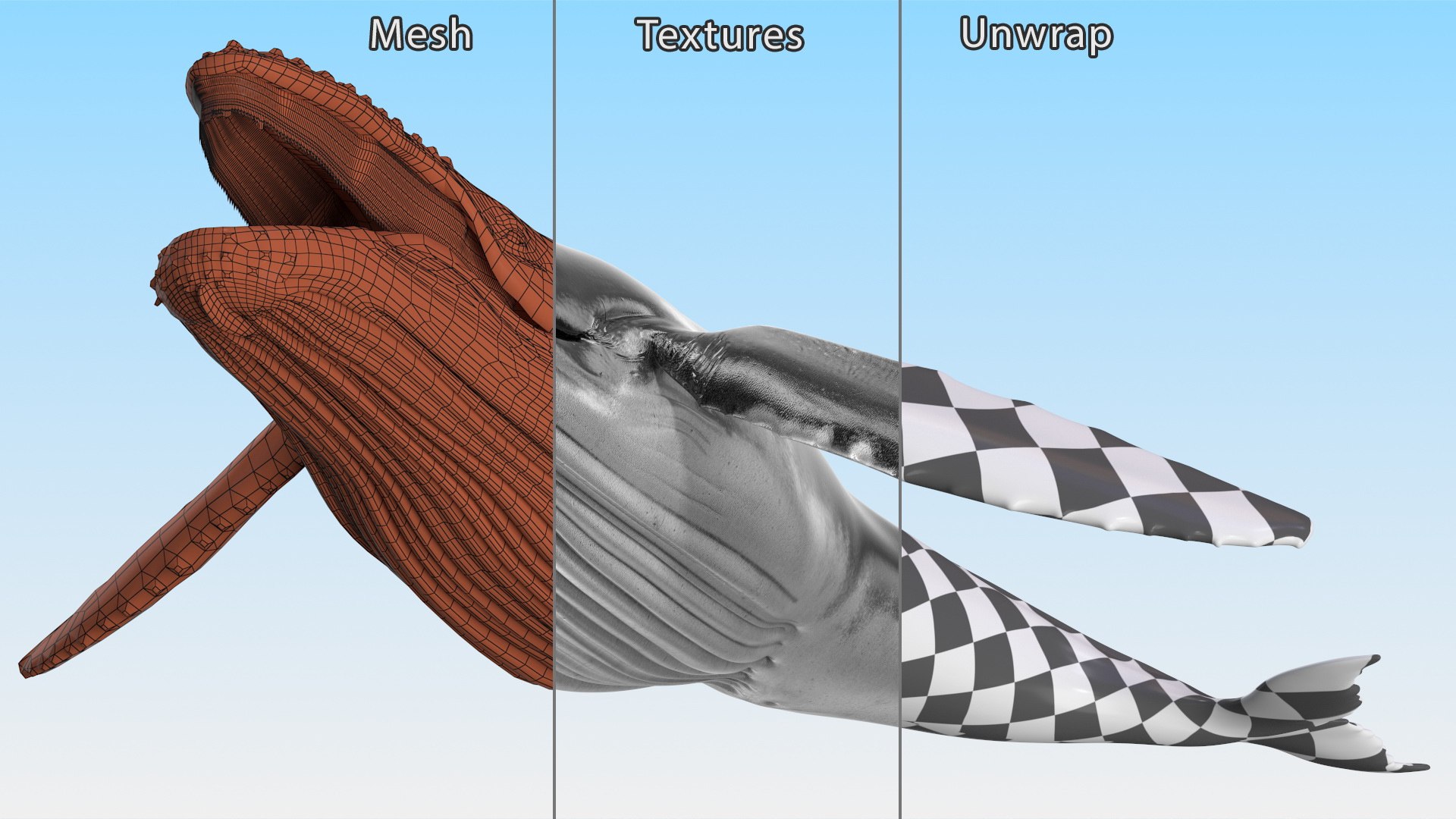 3D Humpback Whale Realistic https://p.turbosquid.com/ts-thumb/fW/iDq5Rt/Fw/humpbackwhalerealistic3dmodel013/jpg/1724653876/1920x1080/fit_q87/c9d370a65b6d65ba8e44226b6077a04f72335cec/humpbackwhalerealistic3dmodel013.jpg