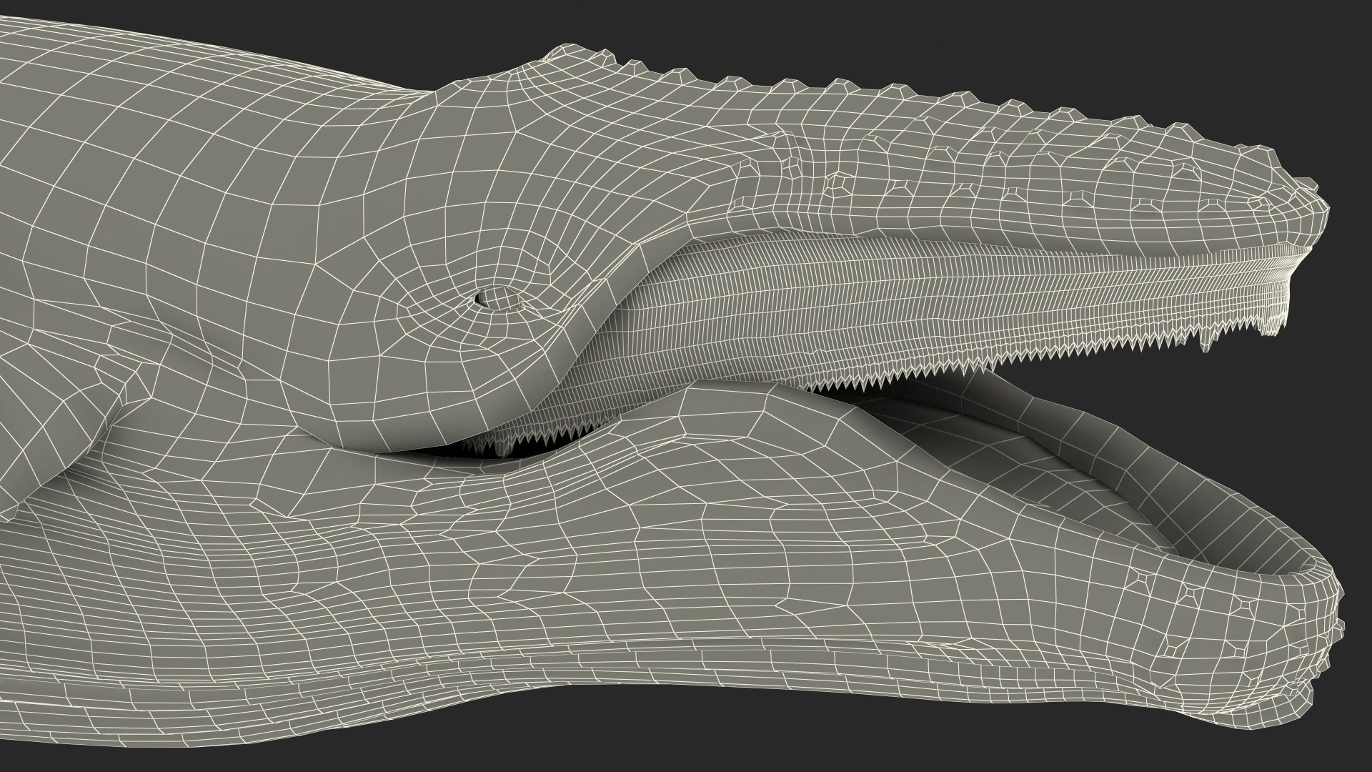 3D Humpback Whale Realistic https://p.turbosquid.com/ts-thumb/fW/iDq5Rt/O9/humpbackwhalerealistic3dmodel022/jpg/1724653942/1920x1080/fit_q87/eb704490882e78747c45e8f55acab54ba301c52d/humpbackwhalerealistic3dmodel022.jpg