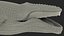 Humpback Whale Realistic