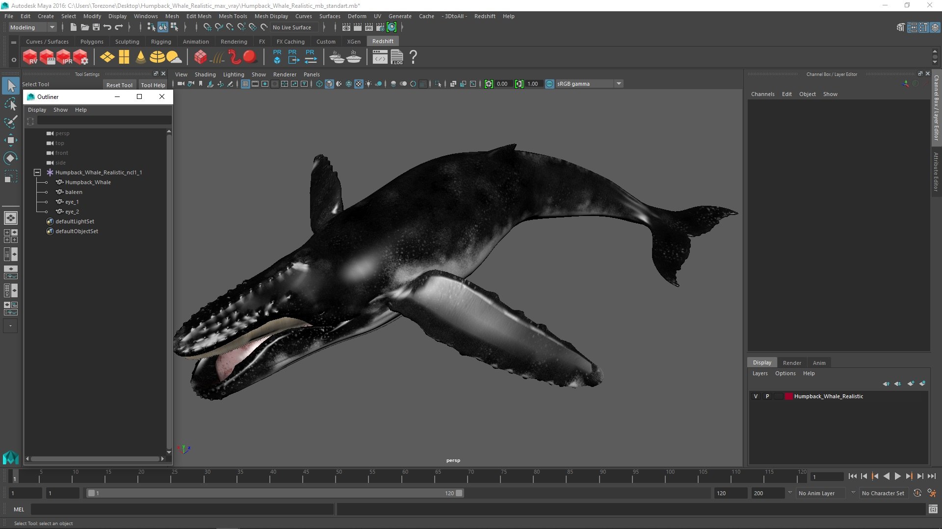 3D Humpback Whale Realistic https://p.turbosquid.com/ts-thumb/fW/iDq5Rt/Rf/humpbackwhalerealistic3dmodel027/jpg/1724653977/1920x1080/fit_q87/61b5171fac8bfff450f111f12de1bd3b76a6d325/humpbackwhalerealistic3dmodel027.jpg