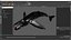 Humpback Whale Realistic