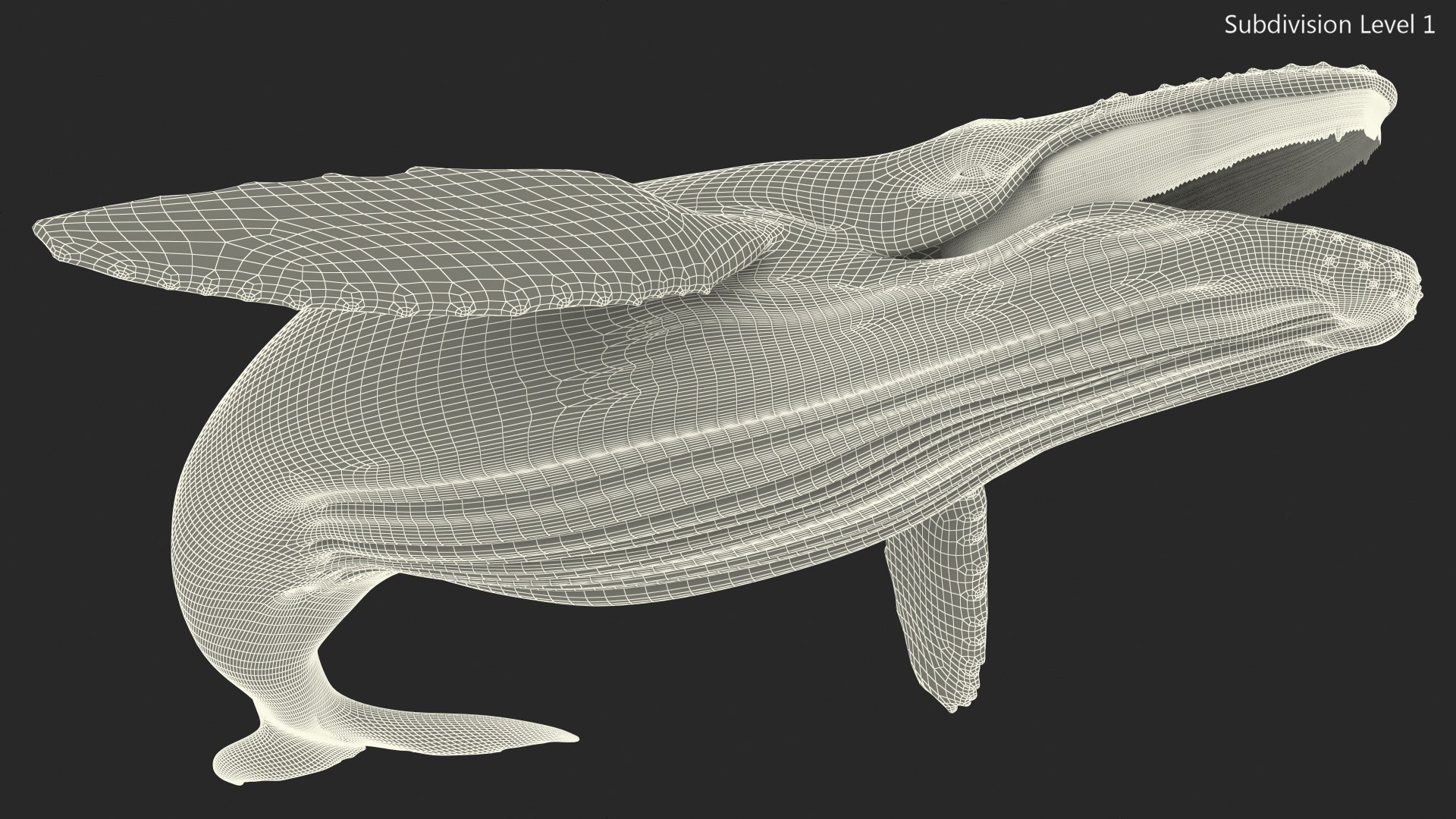 3D Humpback Whale Realistic https://p.turbosquid.com/ts-thumb/fW/iDq5Rt/Wp/humpbackwhalerealistic3dmodel015/jpg/1724653886/1920x1080/fit_q87/3bad13ef60d7aad65ff300133cddd6d9e69a0c2a/humpbackwhalerealistic3dmodel015.jpg