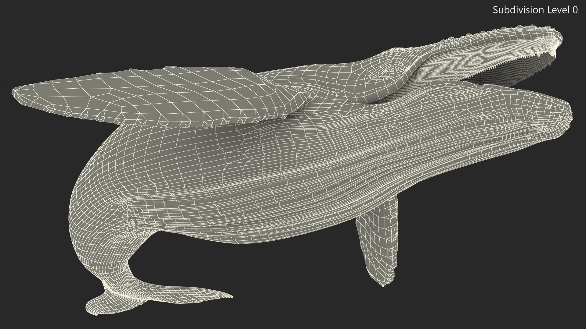 3D Humpback Whale Realistic https://p.turbosquid.com/ts-thumb/fW/iDq5Rt/lY/humpbackwhalerealistic3dmodel014/jpg/1724653881/1920x1080/fit_q87/83aebd4b70c762fa94dbfa8d0183b0d715917c61/humpbackwhalerealistic3dmodel014.jpg