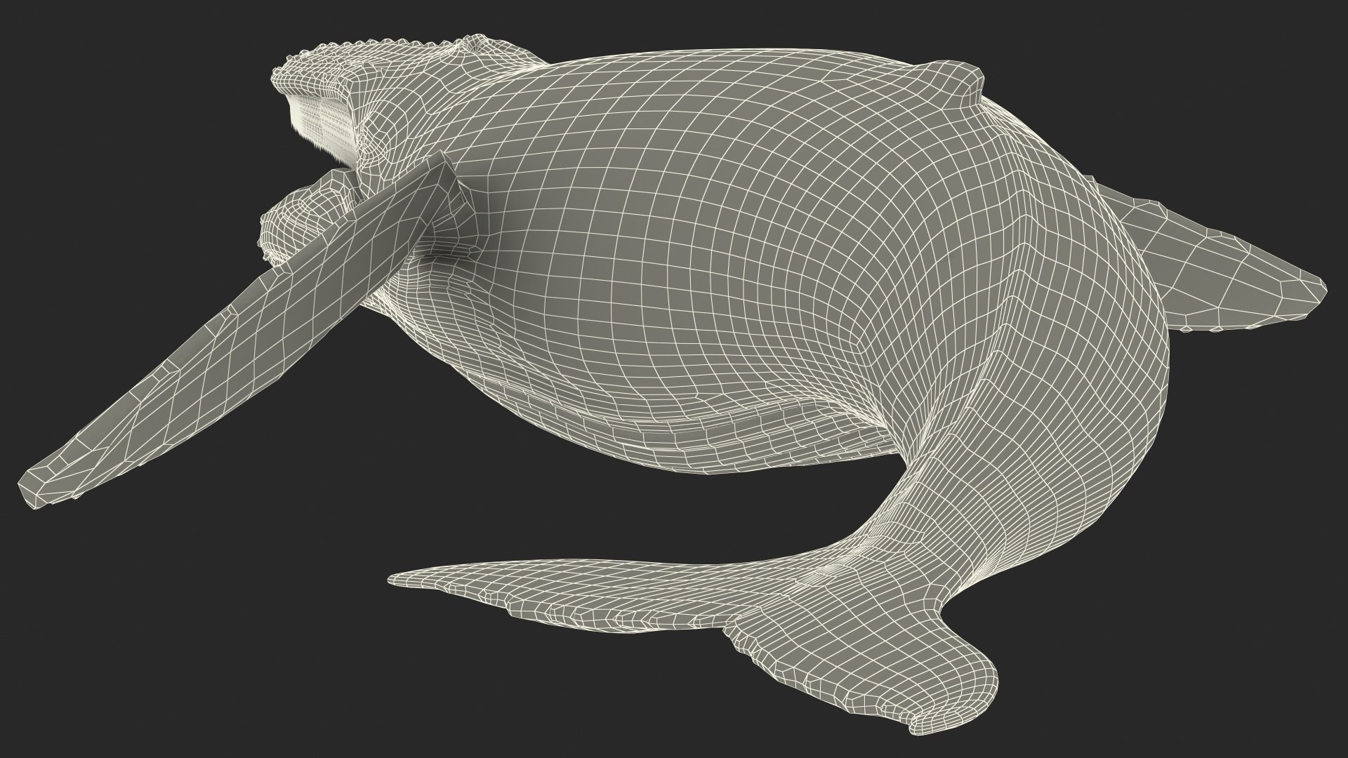 3D Humpback Whale Realistic https://p.turbosquid.com/ts-thumb/fW/iDq5Rt/m0/humpbackwhalerealistic3dmodel020/jpg/1724653928/1920x1080/fit_q87/93dfbb297dc76455f375ddc9a384ded1625920fc/humpbackwhalerealistic3dmodel020.jpg
