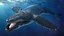 Humpback Whale Realistic