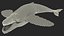 Humpback Whale Realistic