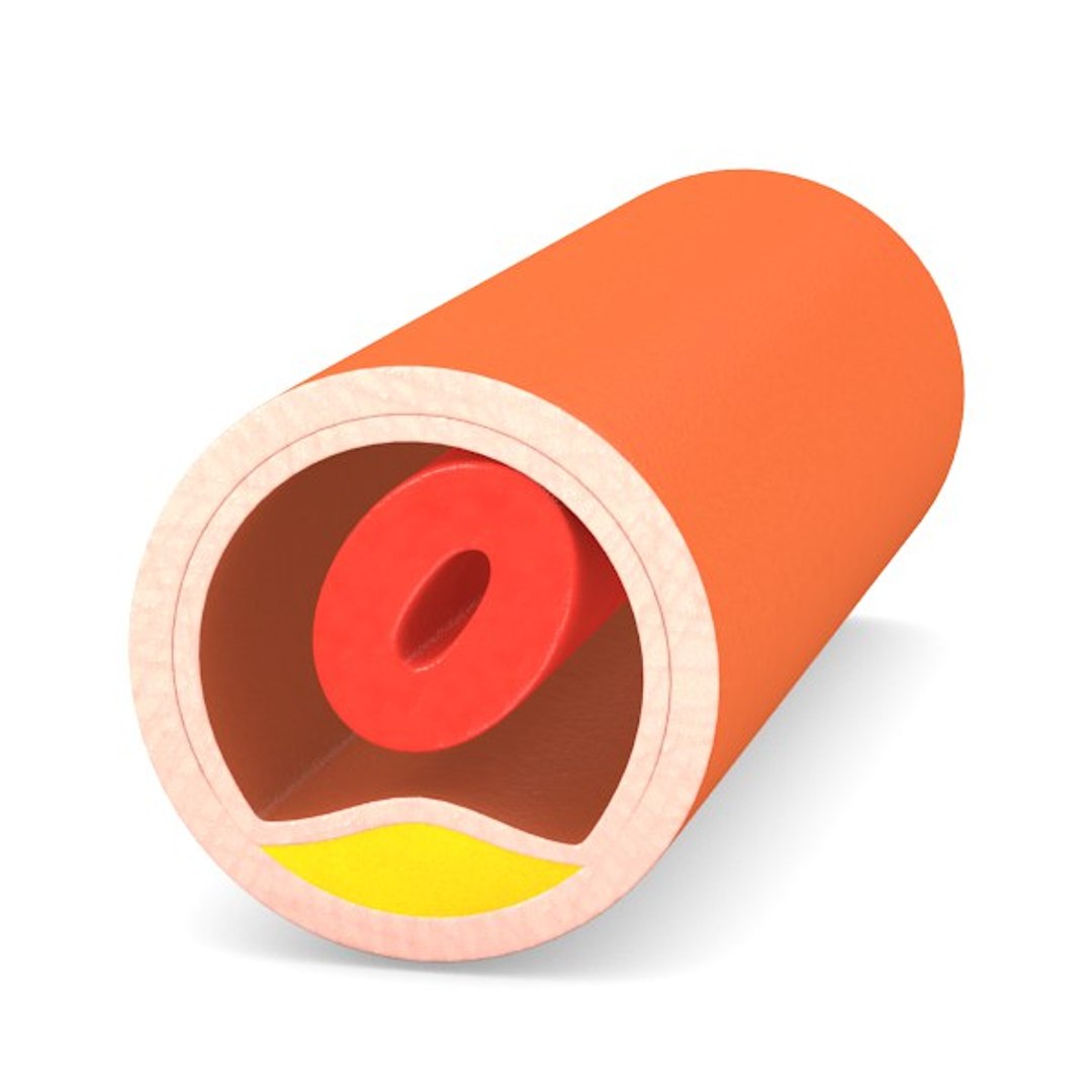 3d blood vessel https://p.turbosquid.com/ts-thumb/fW/klSrxW/BX4WRIqZ/bloodvessel2/jpg/1299679892/1920x1080/fit_q87/9100858c546a5ba3a4e9bac528d794e710e93743/bloodvessel2.jpg