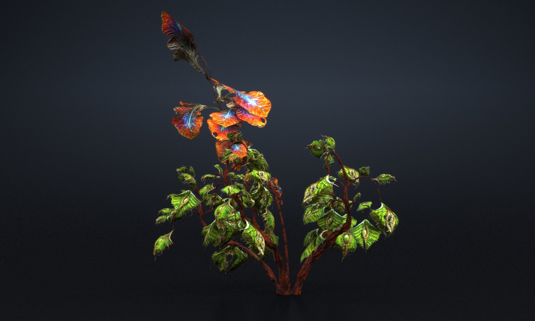 3D Alien Plants Animated Mega Pack https://p.turbosquid.com/ts-thumb/fW/mAG0Zw/i3/5456456467/jpg/1705928286/1920x1080/fit_q87/0825281ef51b04d3e93b3e226edd2932a8410b5d/5456456467.jpg