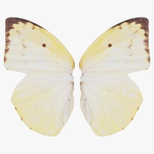 Lemon Emigrant Remastered 3D