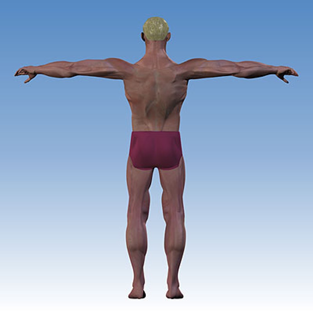 Subdivision Rigging Character 3d Model