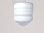 Bulb
