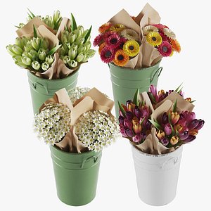 Flowers In Buckets Bundle 03 3D model